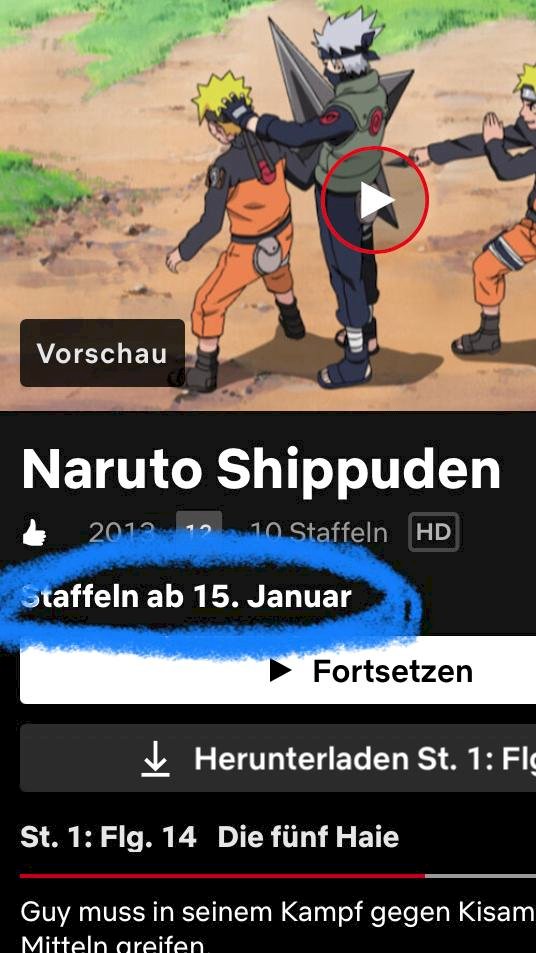 How many seasons are Naruto Shippuden on Netflix