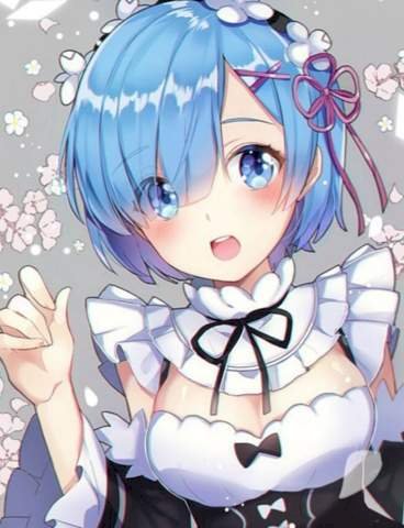 What Anime Is Rem From